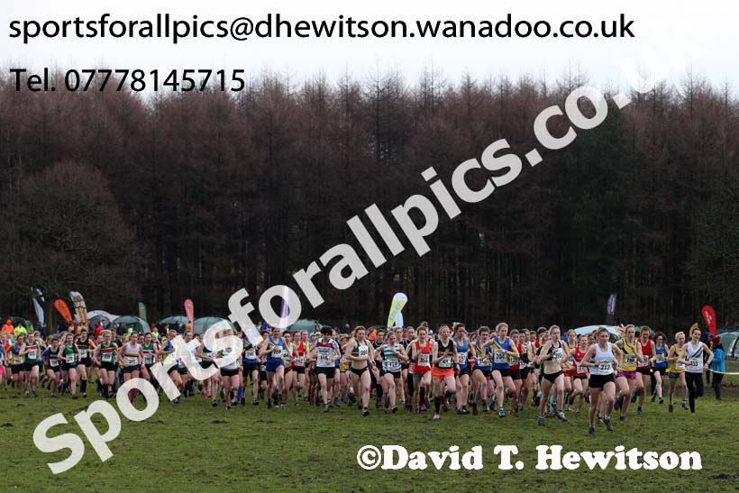 Senior womens Northern Cross Country, Knowsley Safari Park. Photo: David T. Hewitson/Sports for All Pics